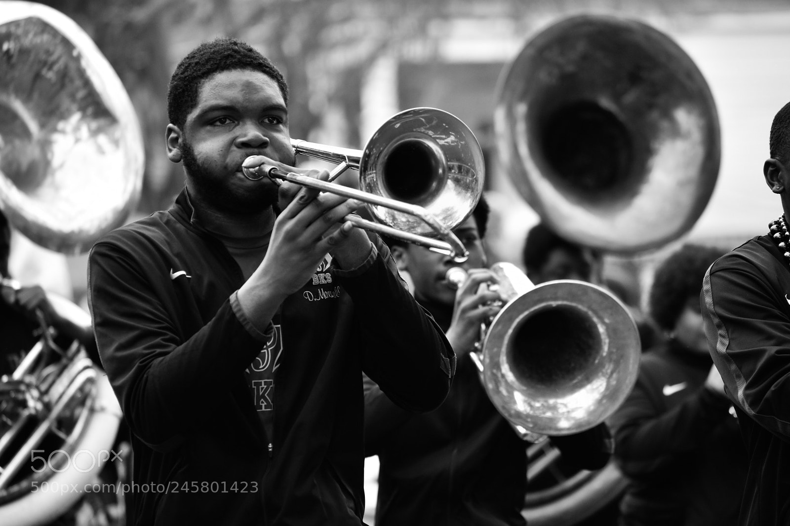 Nikon D3400 sample photo. Brass photography