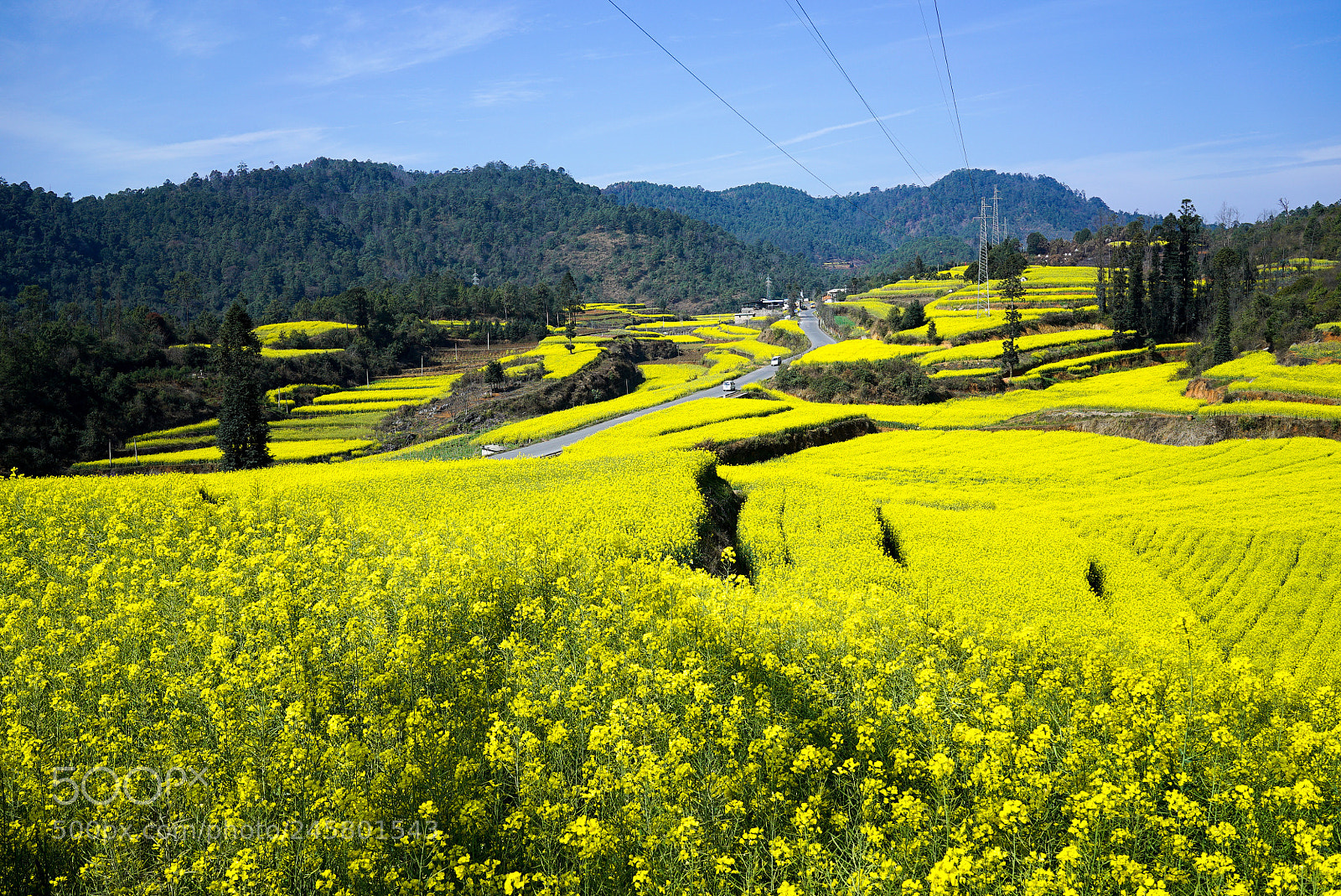Sony a7S sample photo. 峨山花田 photography