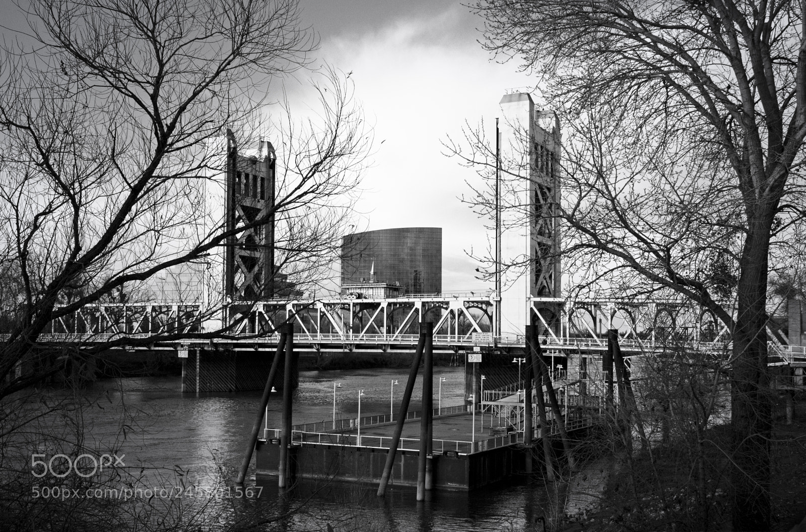 Panasonic Lumix DMC-G5 sample photo. Lumix 483 trees bridge bw photography