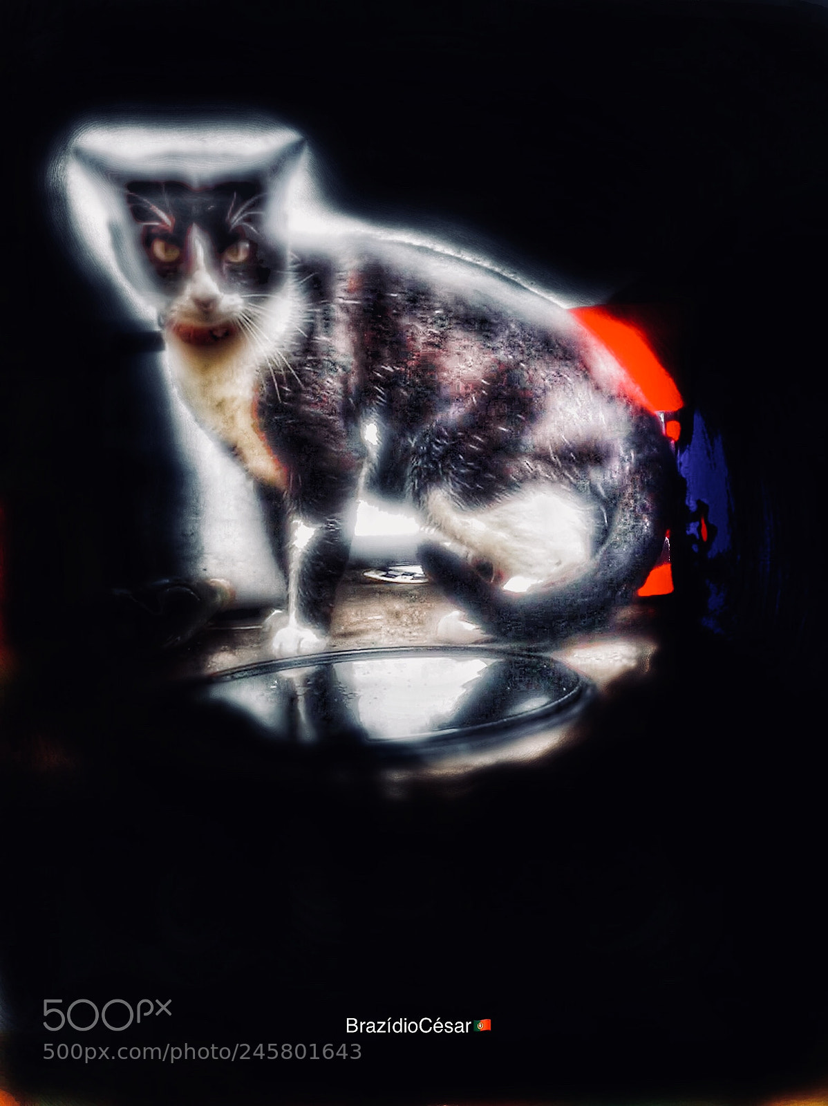 Apple iPhone 6s sample photo. Untitled photography