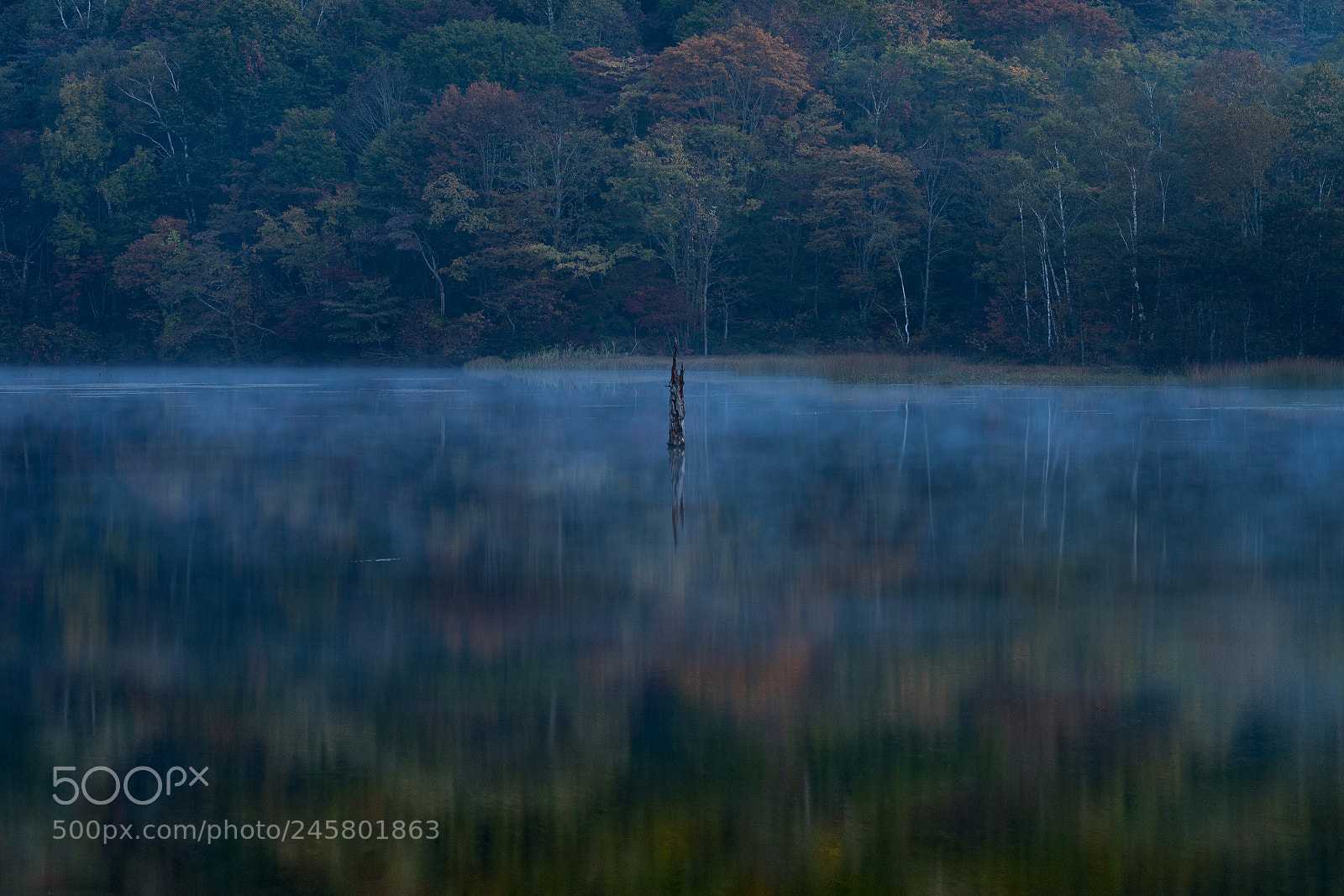 Sony a7 sample photo. Silence photography