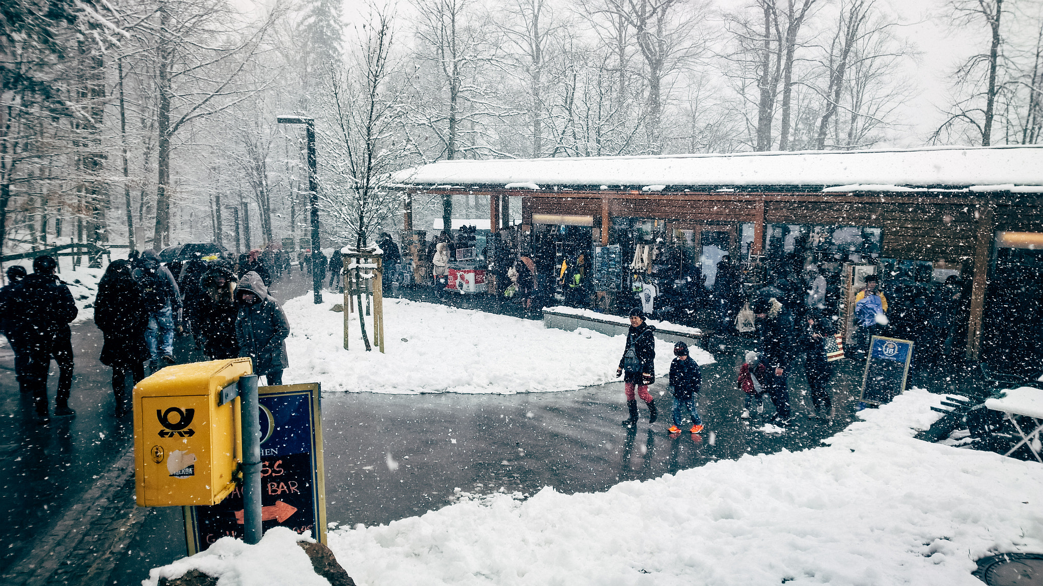 Nokia Lumia 1520 sample photo. Snow on way to new swan castle, germany, 2015 photography