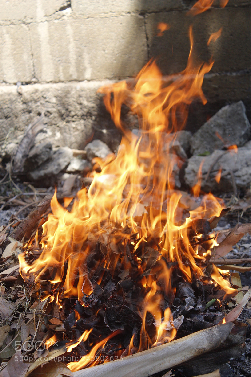 Canon EOS 650D (EOS Rebel T4i / EOS Kiss X6i) sample photo. Fuego ardiente.  photography