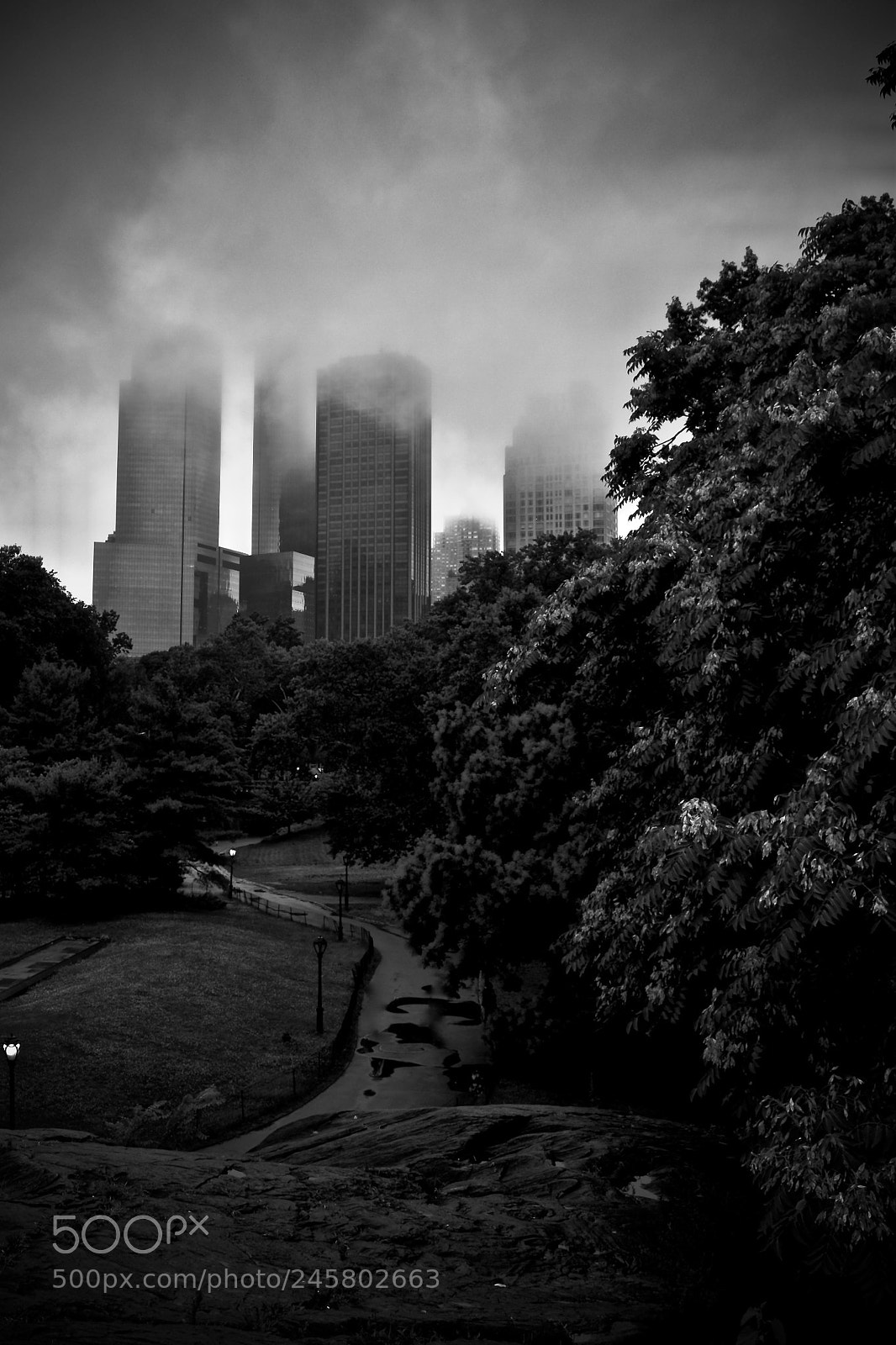 Nikon D3300 sample photo. City of fog photography