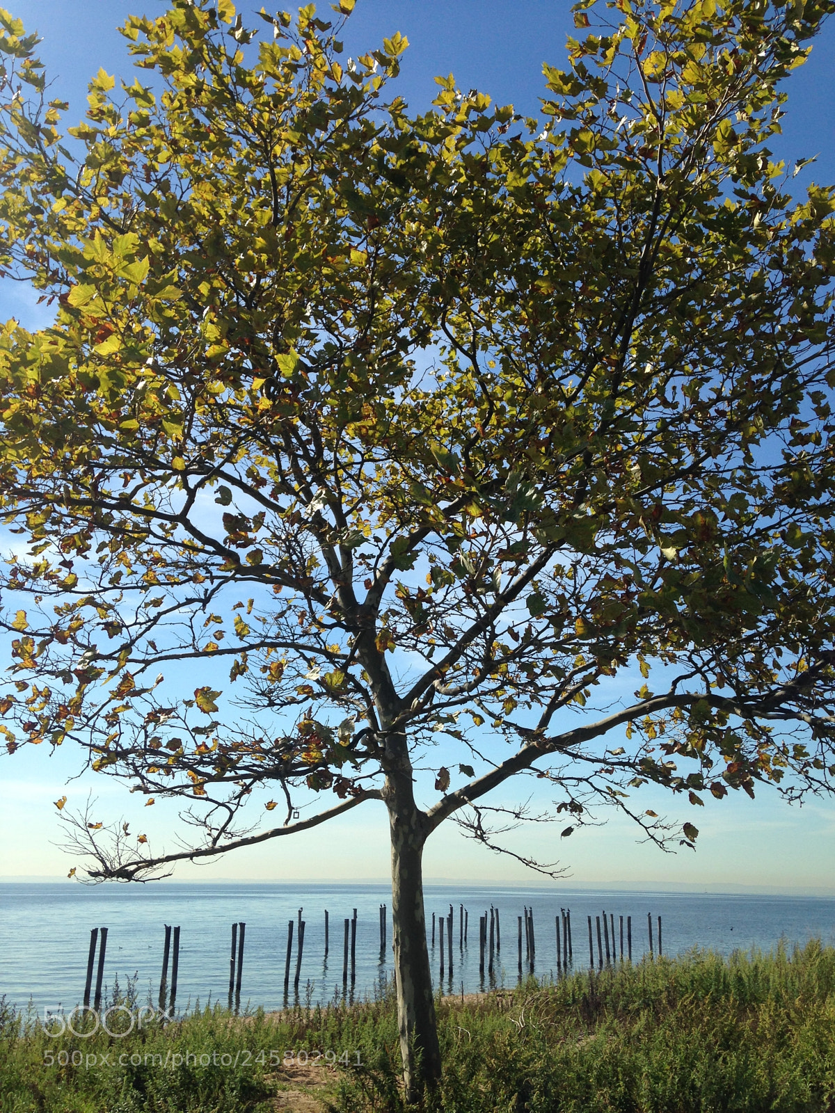 Apple iPhone 5c sample photo. Gateway park photography