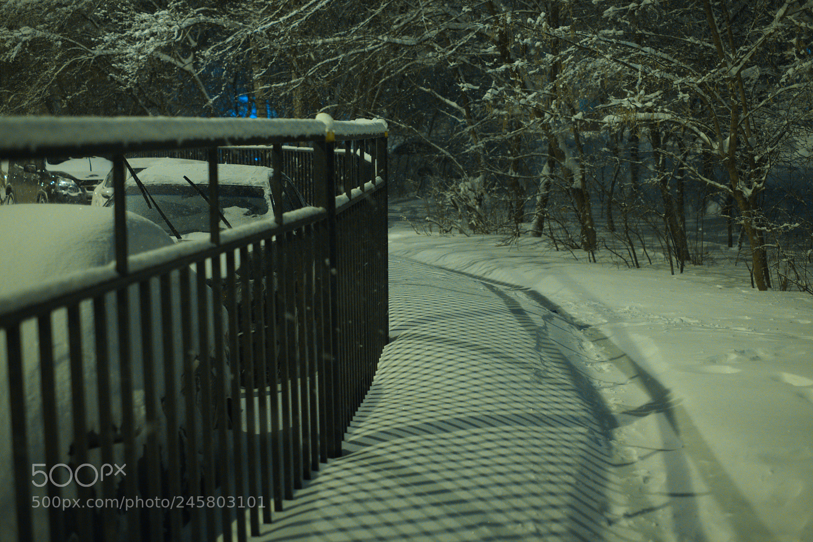 Fujifilm X-T20 sample photo. Untitled photography