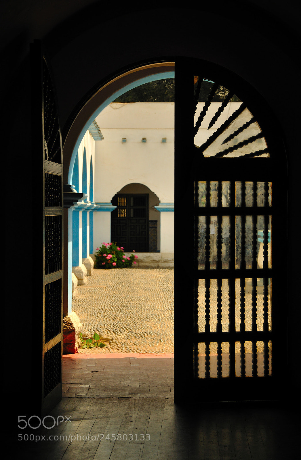 Nikon D90 sample photo. Open door photography