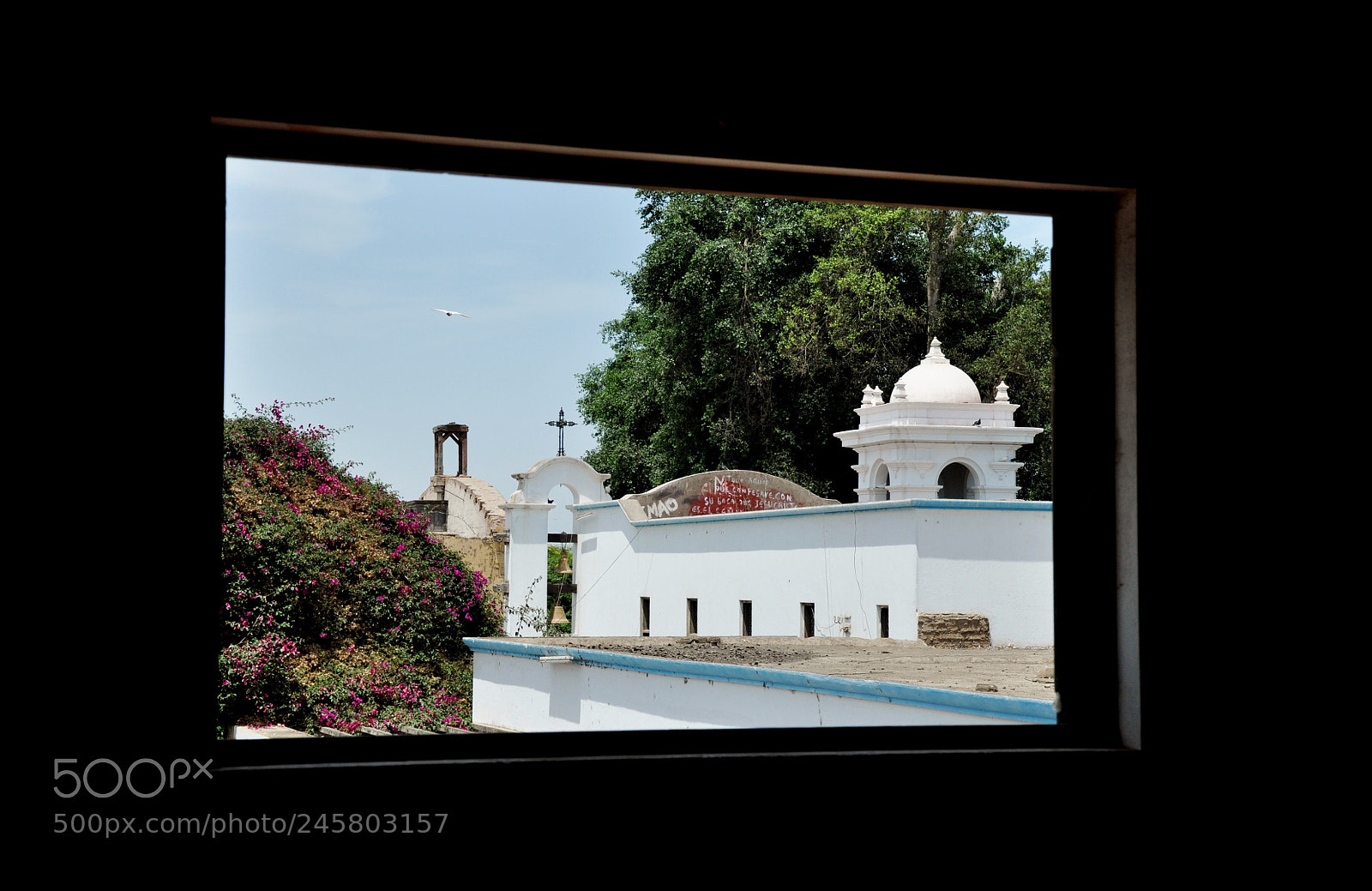Nikon D90 sample photo. Window photography