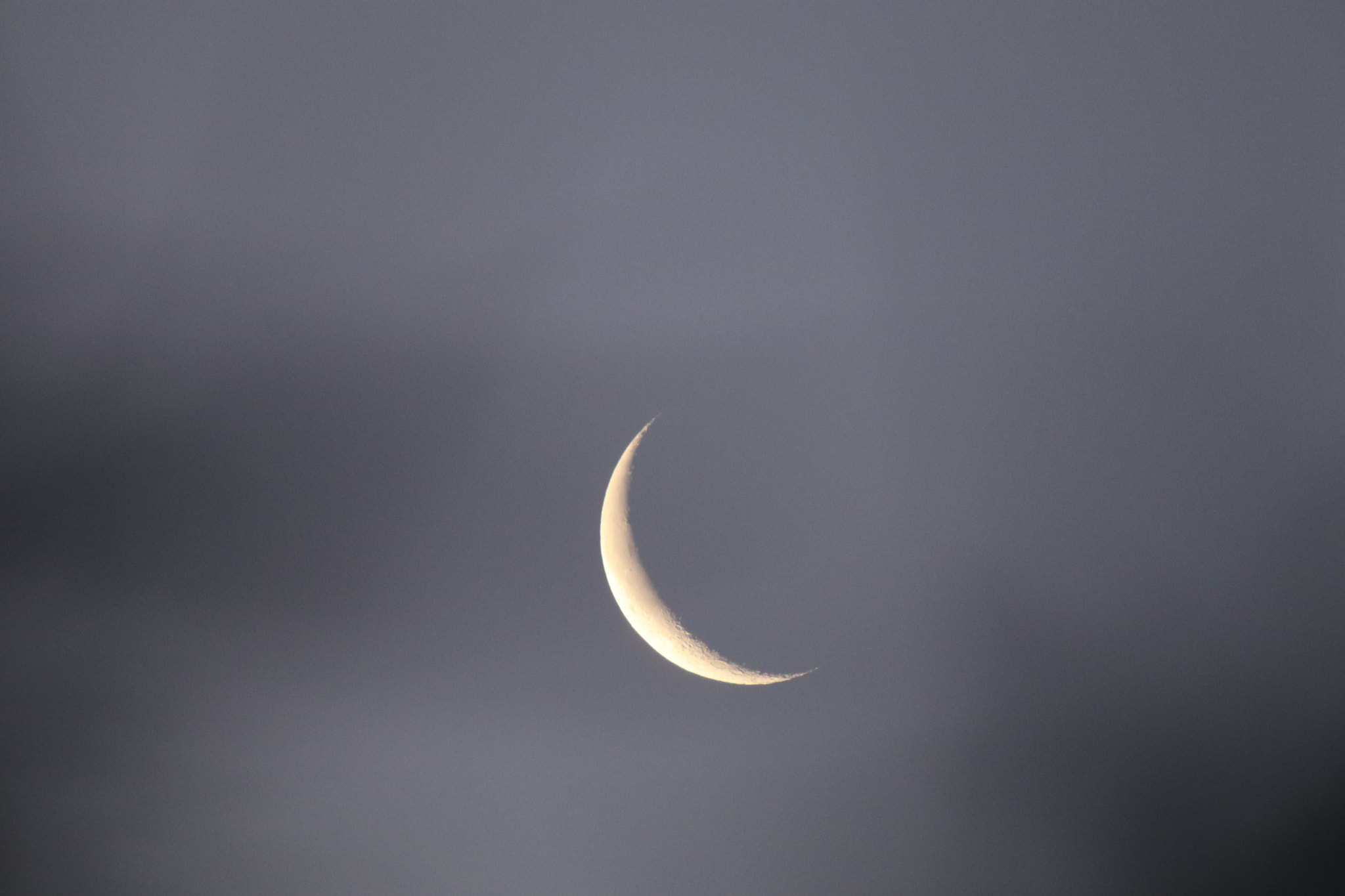 Tamron SP 150-600mm F5-6.3 Di VC USD sample photo. 弦月crescent photography