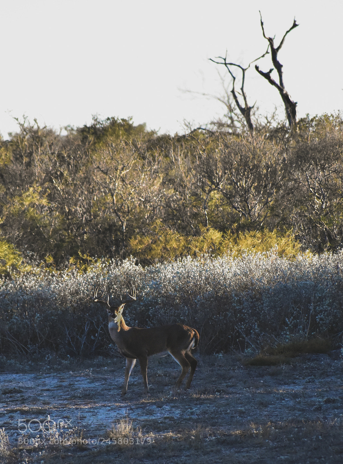 Nikon D3400 sample photo. Sundown photography