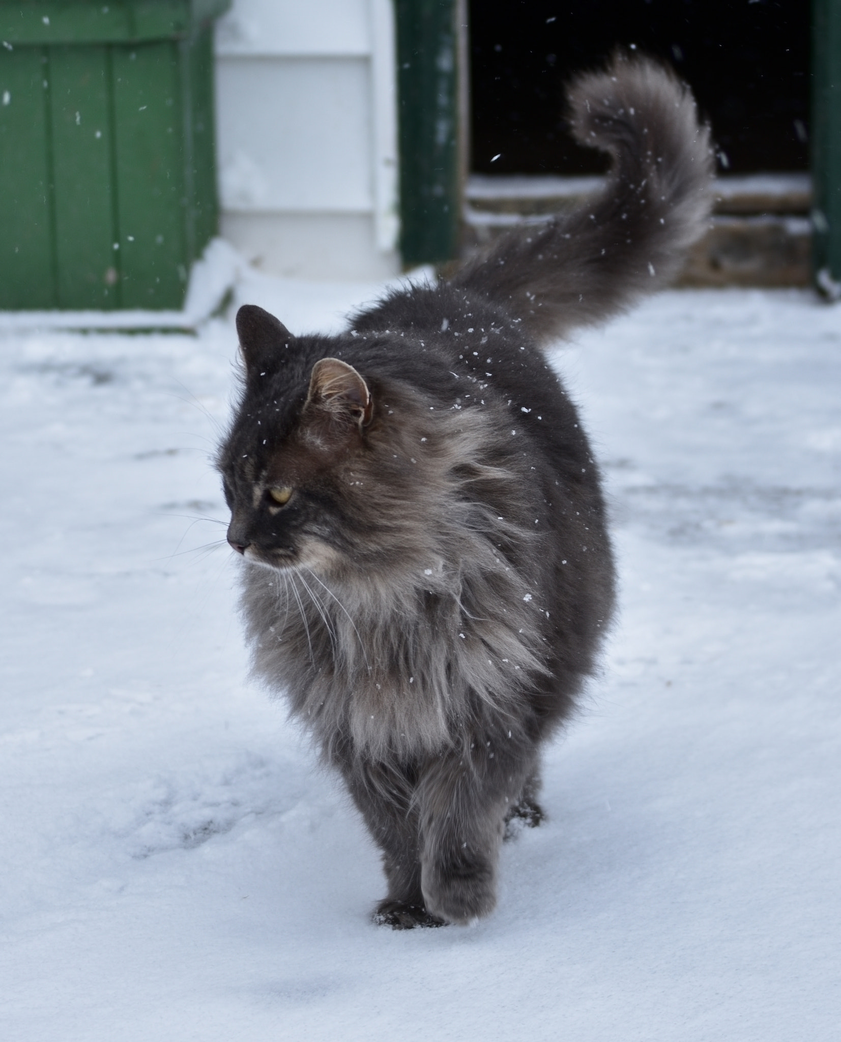 Nikon D3400 sample photo. Barnaby photography