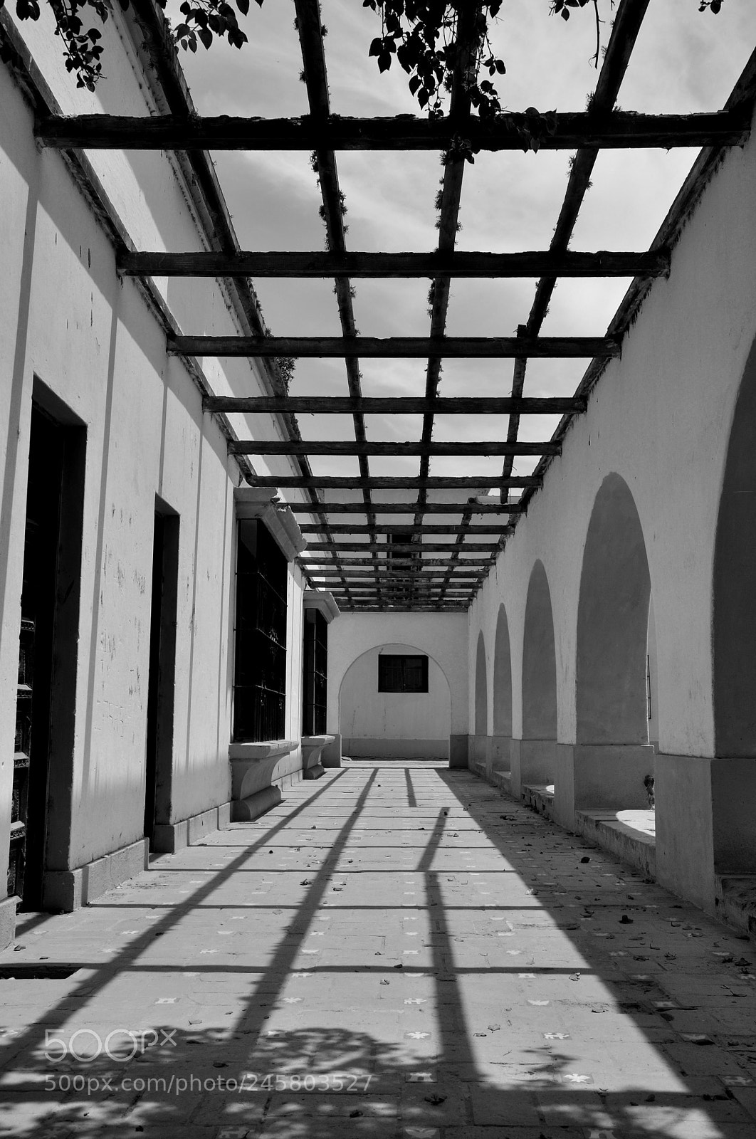 Nikon D90 sample photo. Lines photography