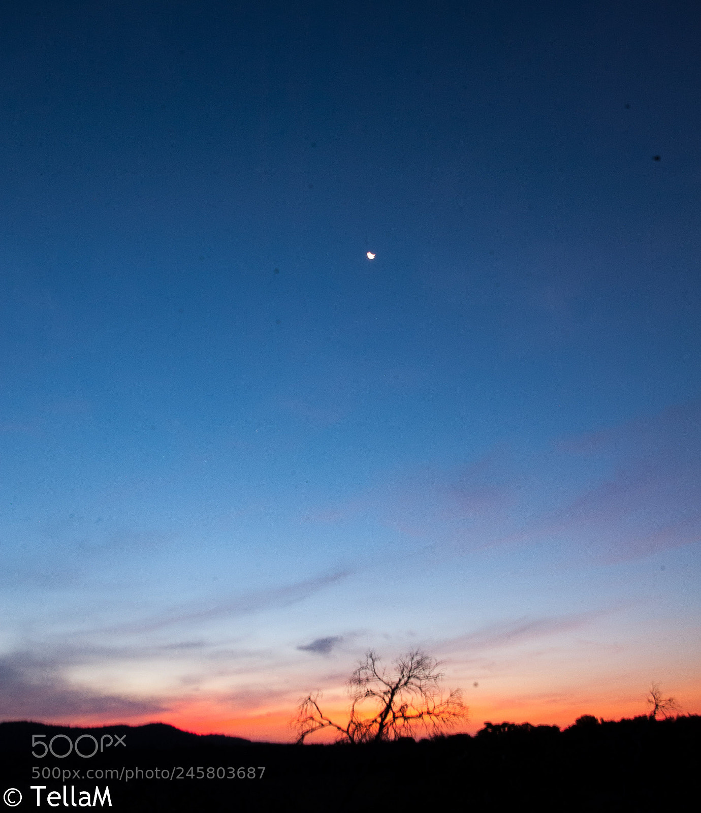 Nikon D100 sample photo. Morning star photography
