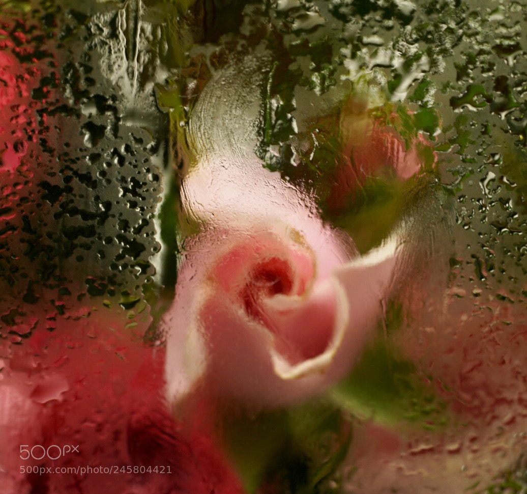 Sony a7R III sample photo. Water effects photography