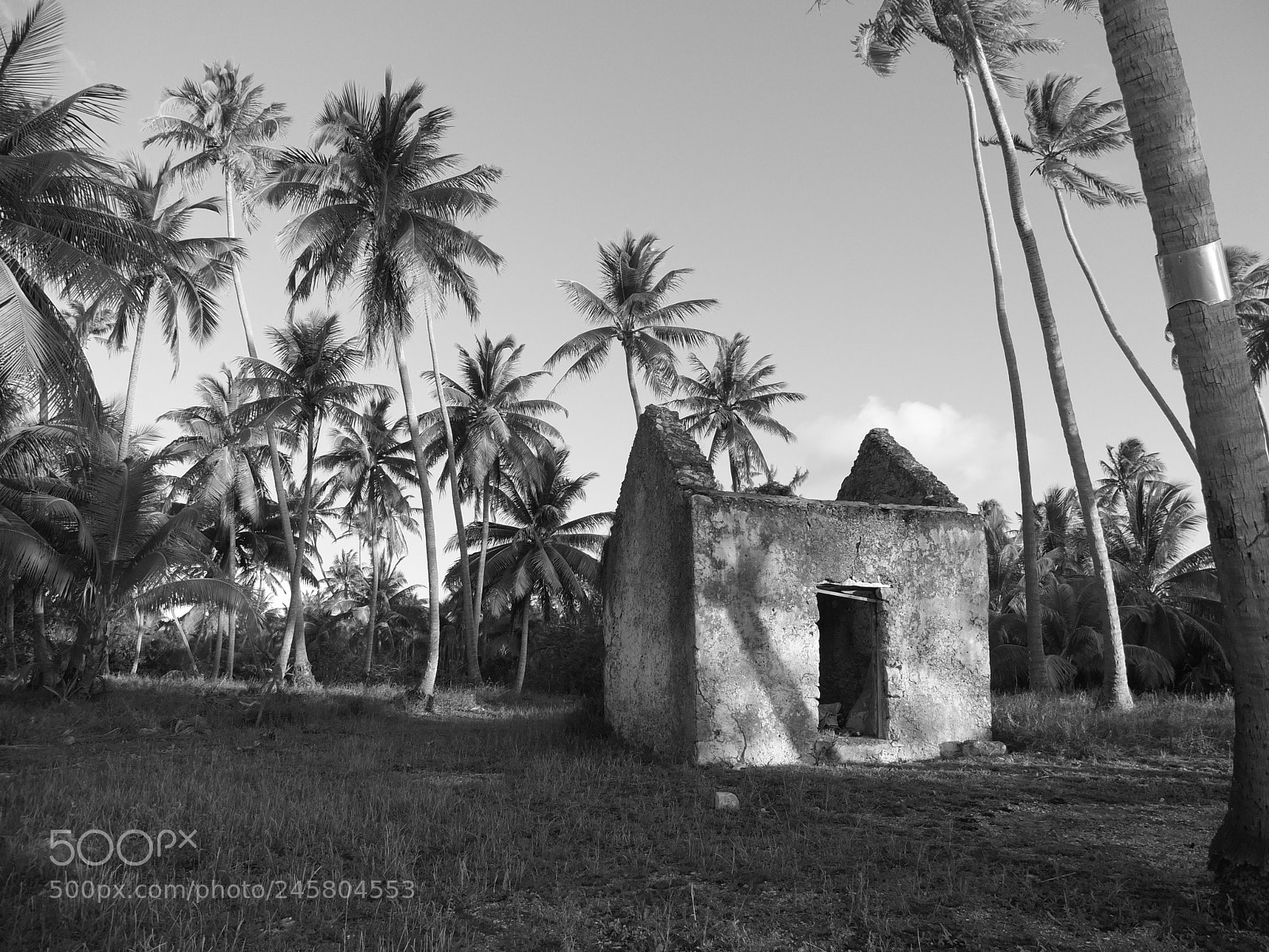 Fujifilm X10 sample photo. Untitled photography