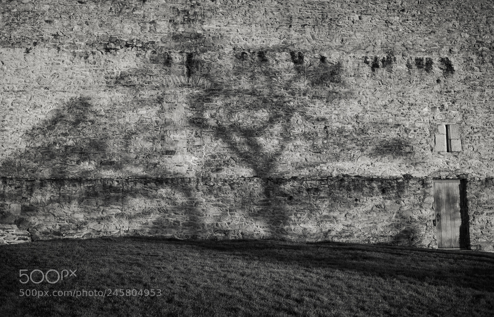 Nikon D800 sample photo. Shadow photography