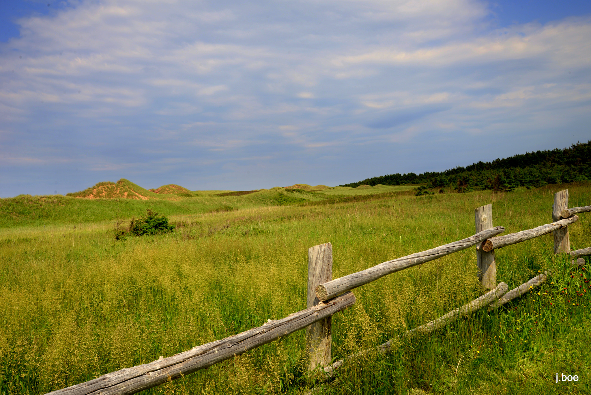 Nikon D610 sample photo. 2016.06.21 - pole fence photography