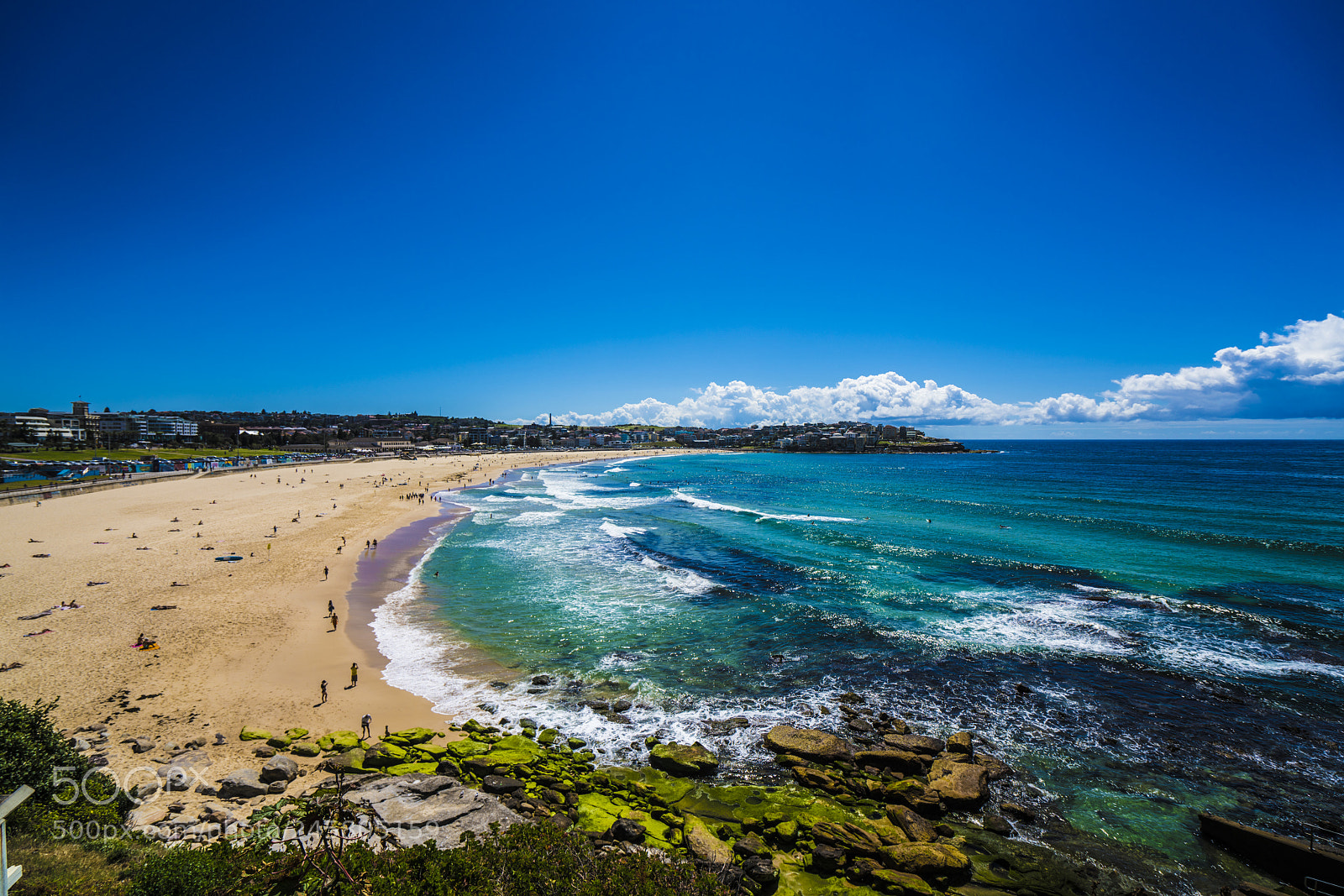 Sony a7R II sample photo. Dsc photography