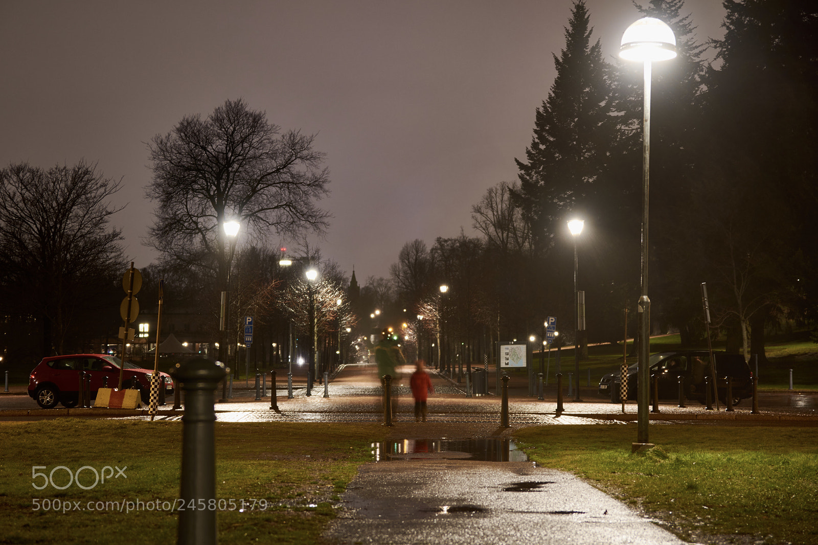 Nikon D7200 sample photo. Untitled photography