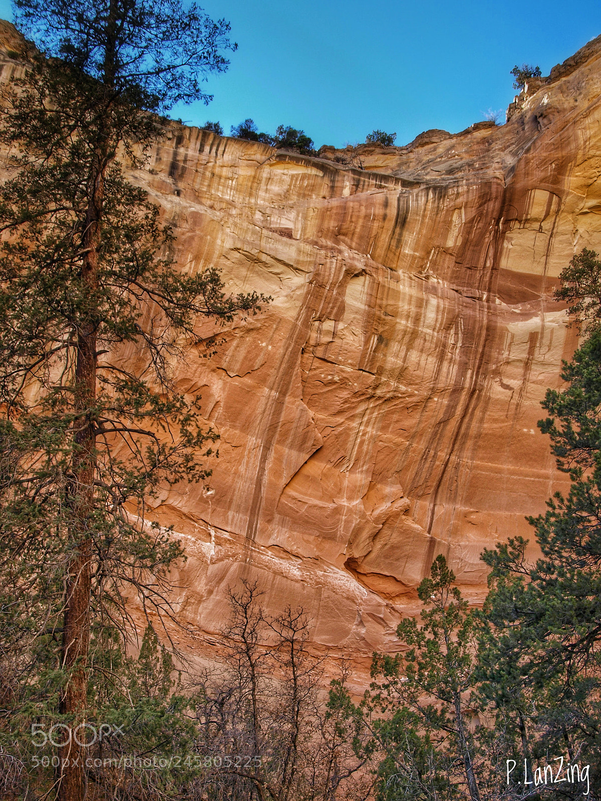 Olympus E-3 sample photo. Echo ampitheatre, new mexico photography