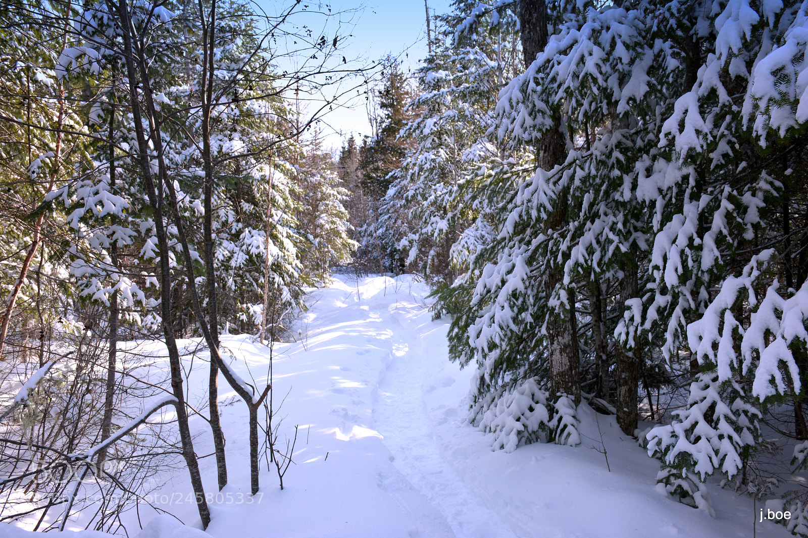 Nikon D7100 sample photo. 2018.02.09 - the snowshoe trail photography