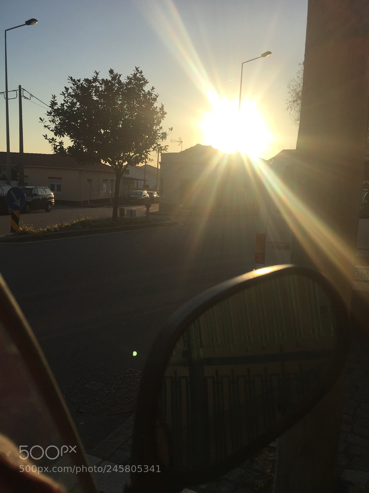 Apple iPhone 6 Plus sample photo. Untitled photography