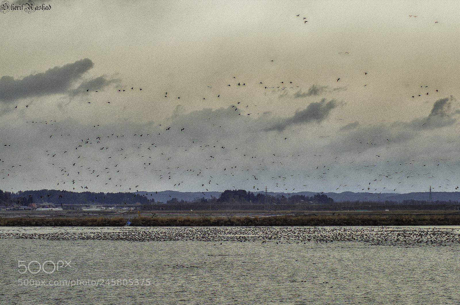 Pentax K-50 sample photo. Lake izunuma photography