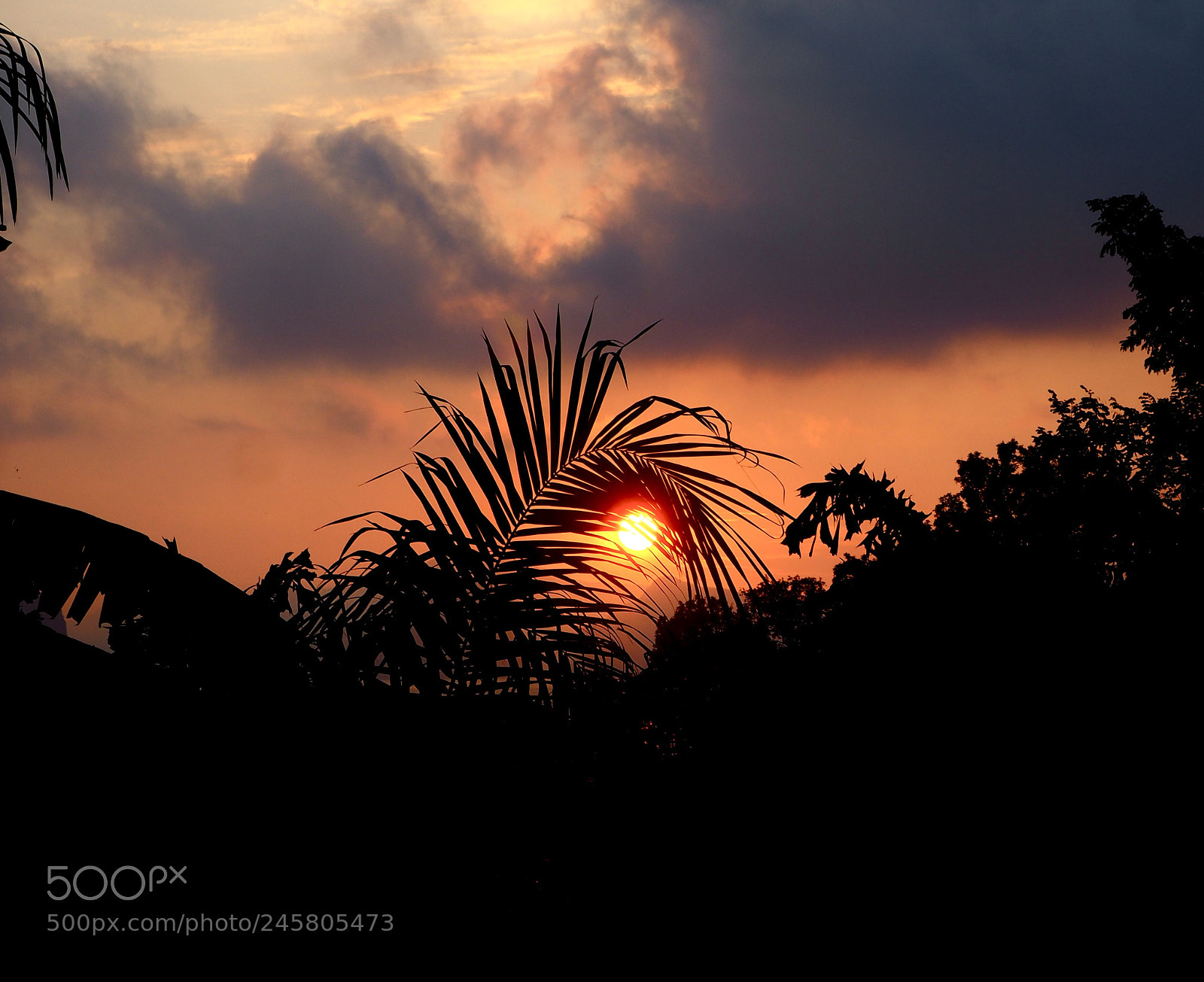 Olympus OM-D E-M10 II sample photo. Sunset in yao noi photography