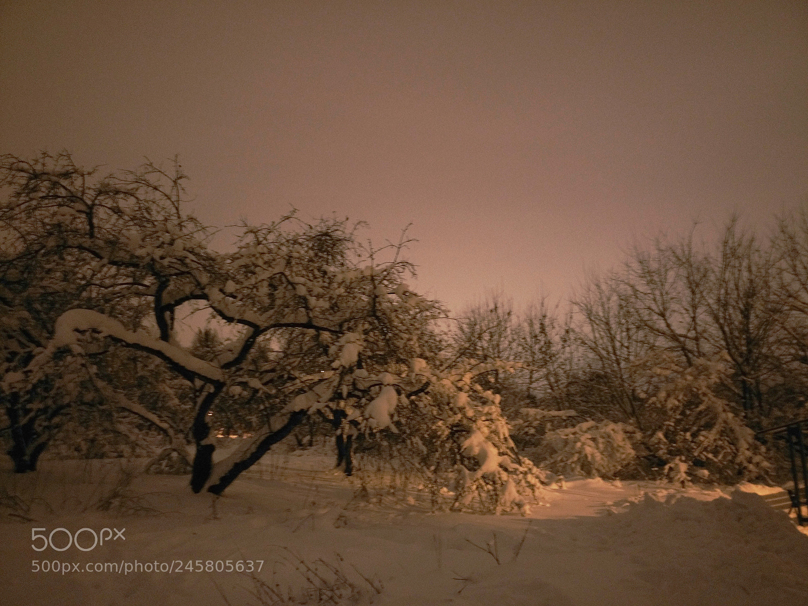 OnePlus A3003 sample photo. North tushino park. winter photography