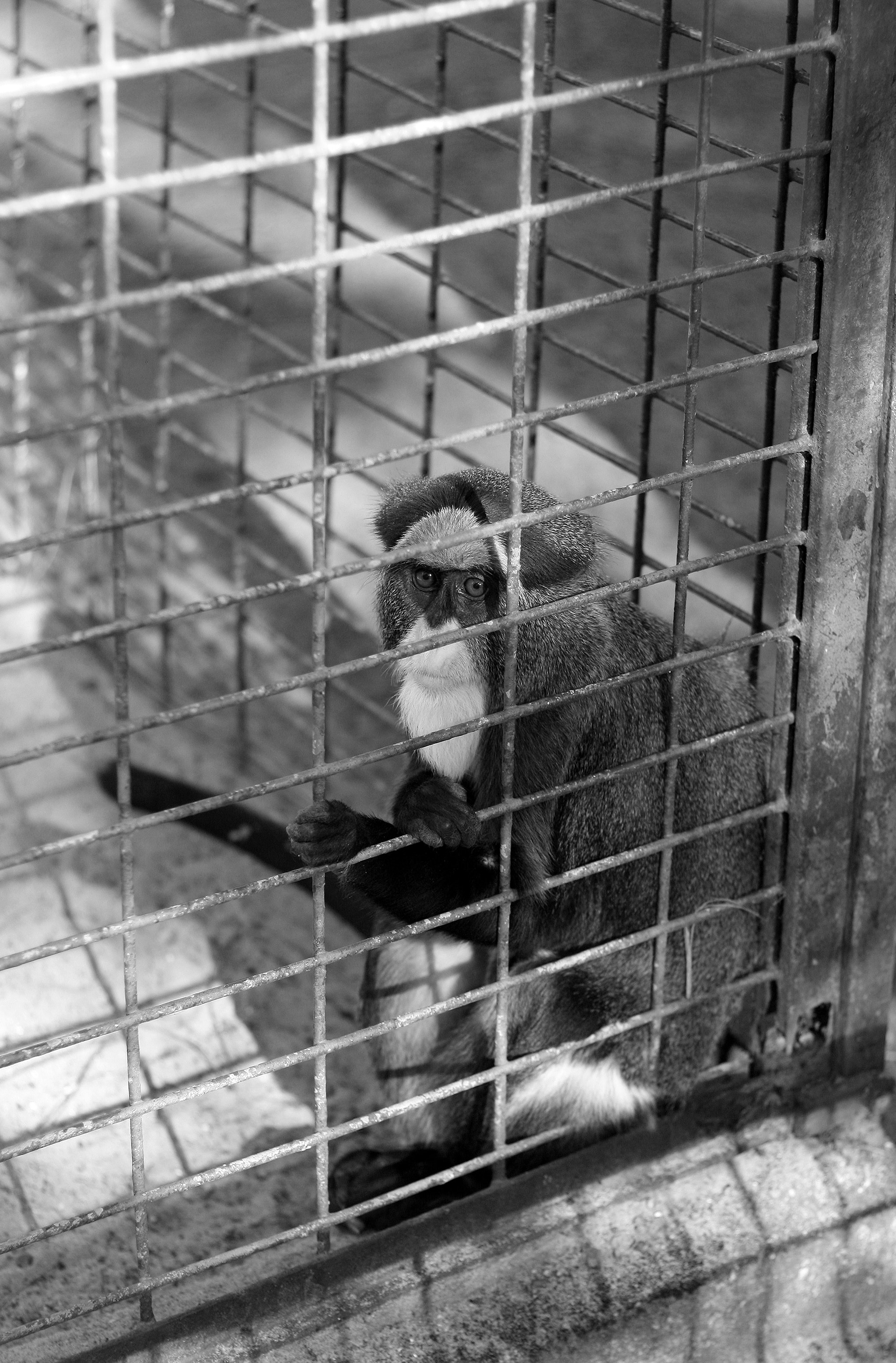 Canon EF 50mm F1.8 II sample photo. Prison photography
