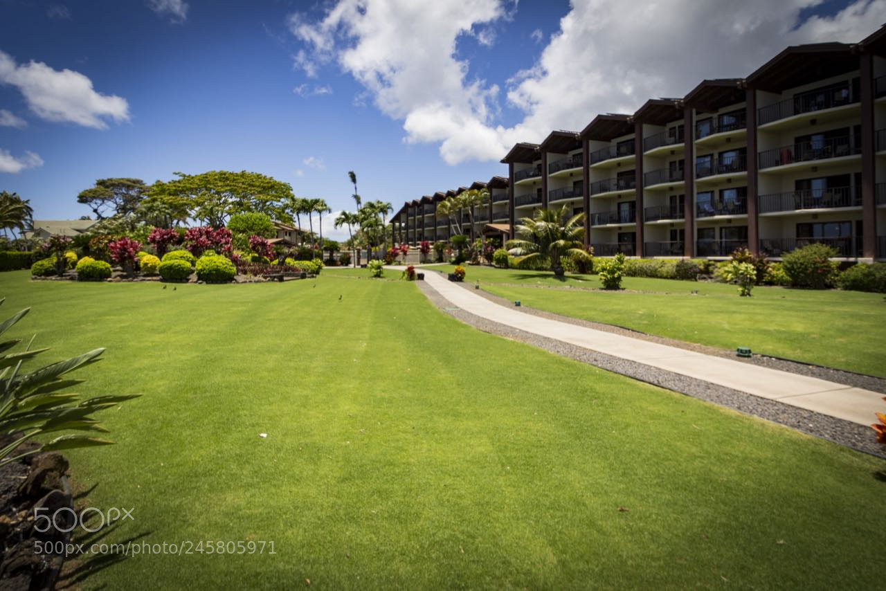 Canon EOS 60D sample photo. Wedding photography