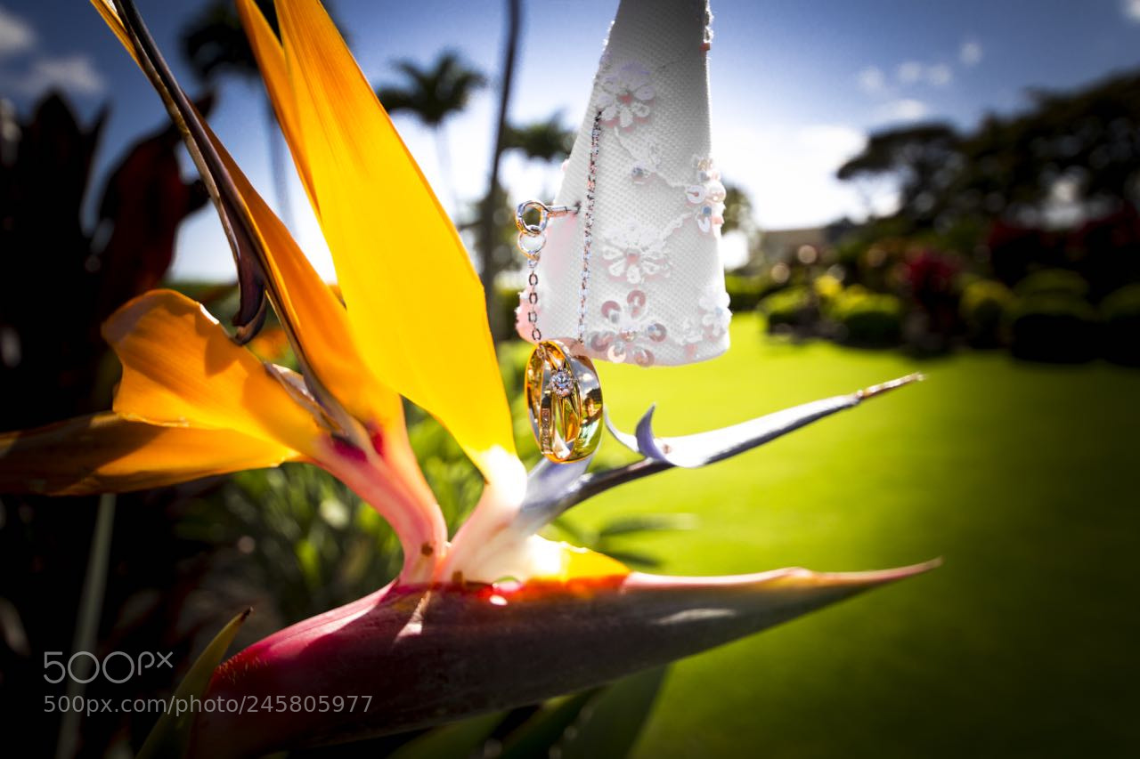 Canon EOS 60D sample photo. Moon ross wedding photography