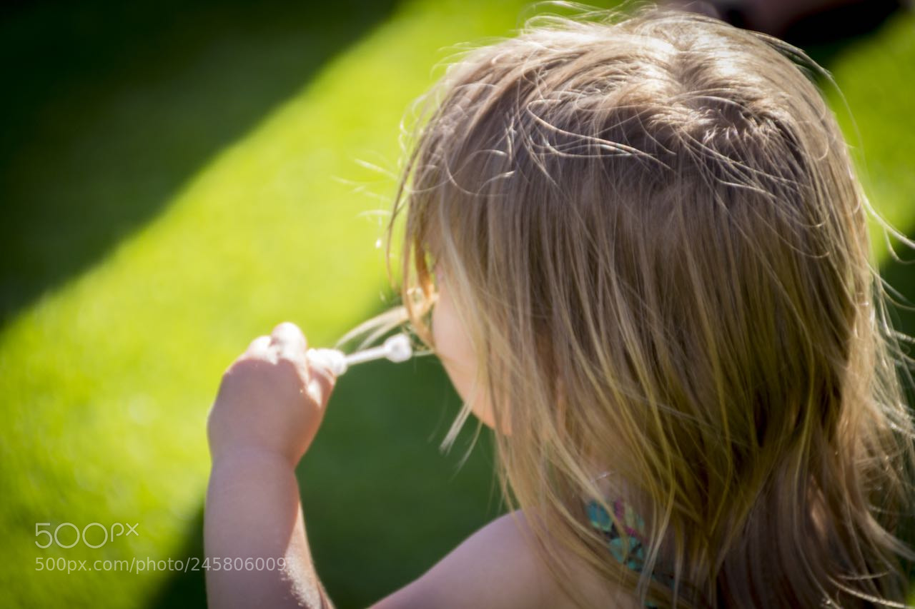 Canon EOS 60D sample photo. Moon ross wedding photography