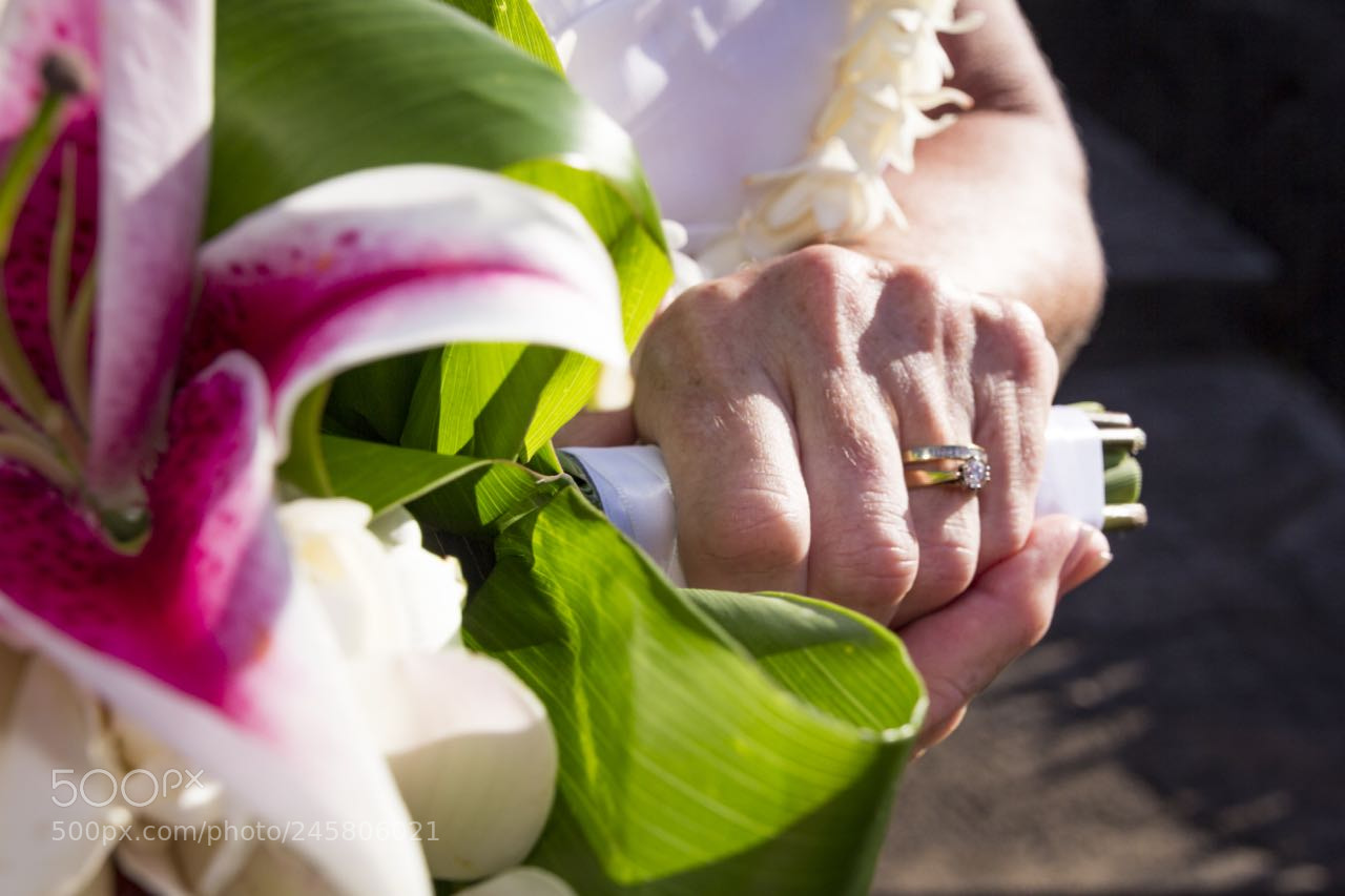 Canon EOS 60D sample photo. Moon ross wedding photography