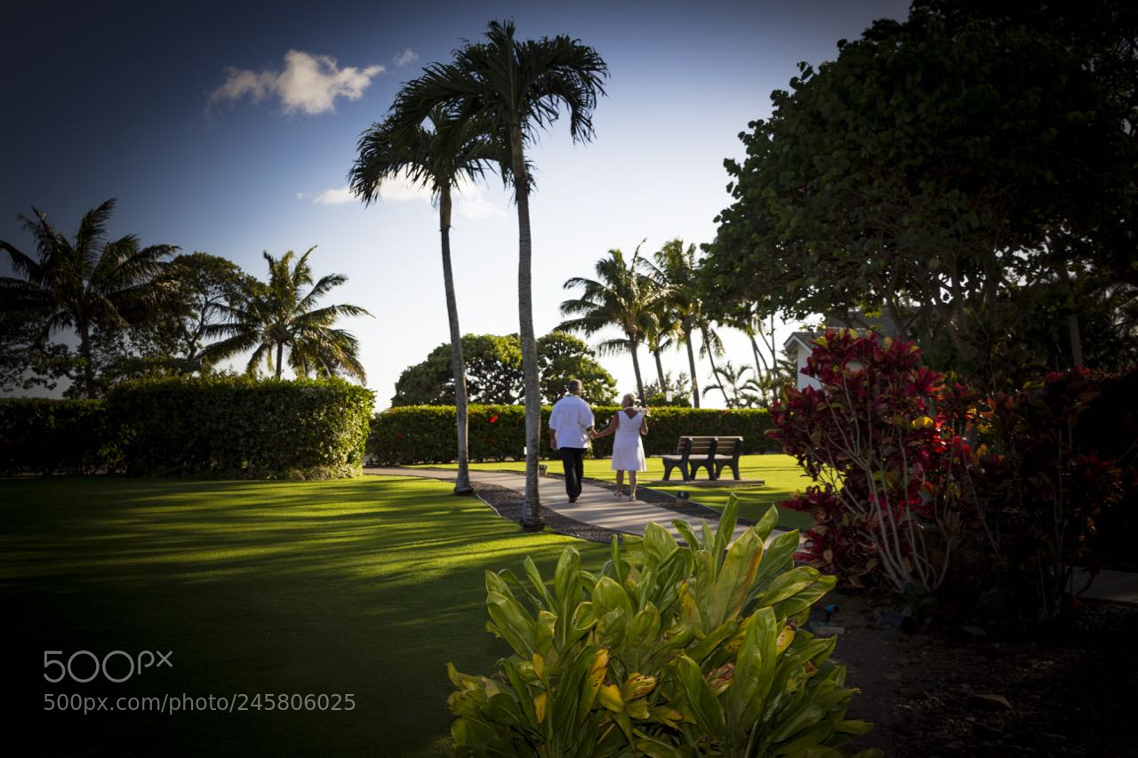 Canon EOS 60D sample photo. Moon ross wedding photography