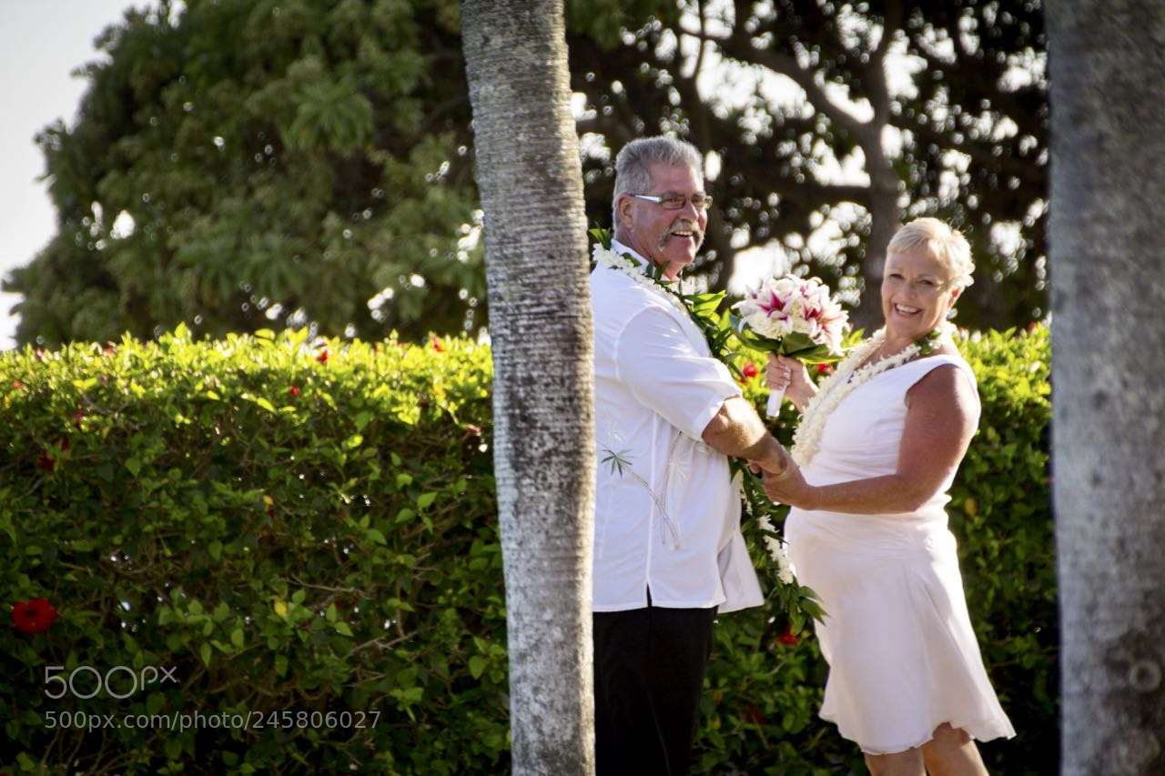 Canon EOS 60D sample photo. Moon ross wedding photography