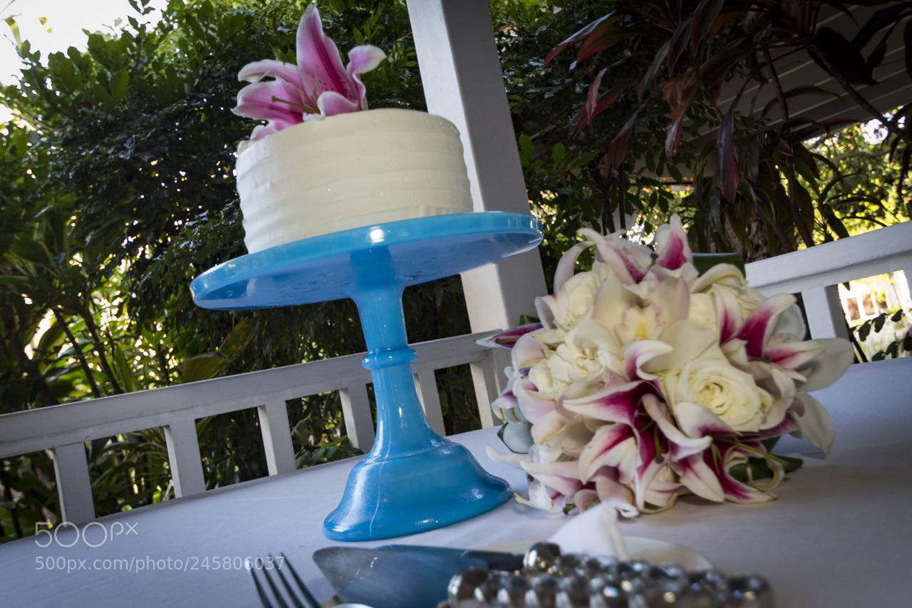Canon EOS 60D sample photo. Moon ross wedding photography
