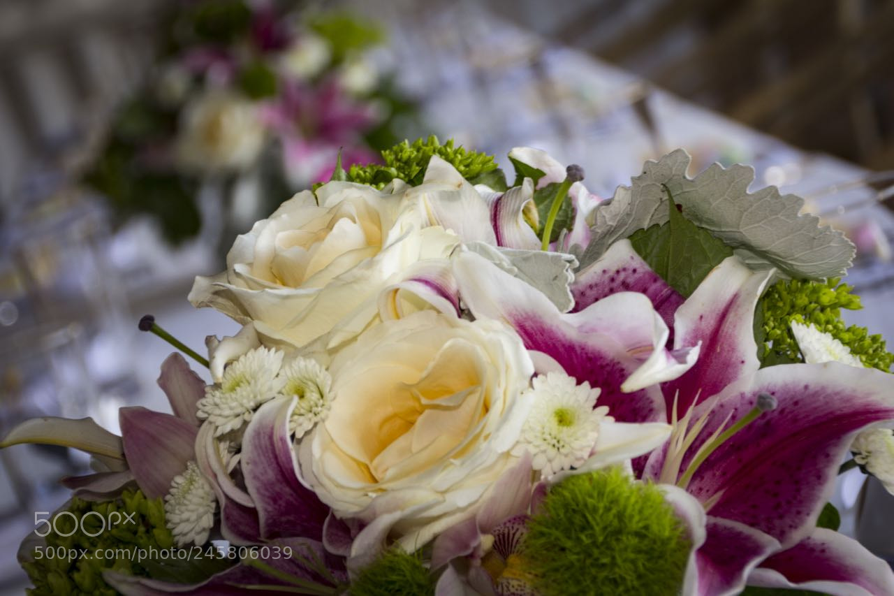 Canon EOS 60D sample photo. Moon ross wedding photography