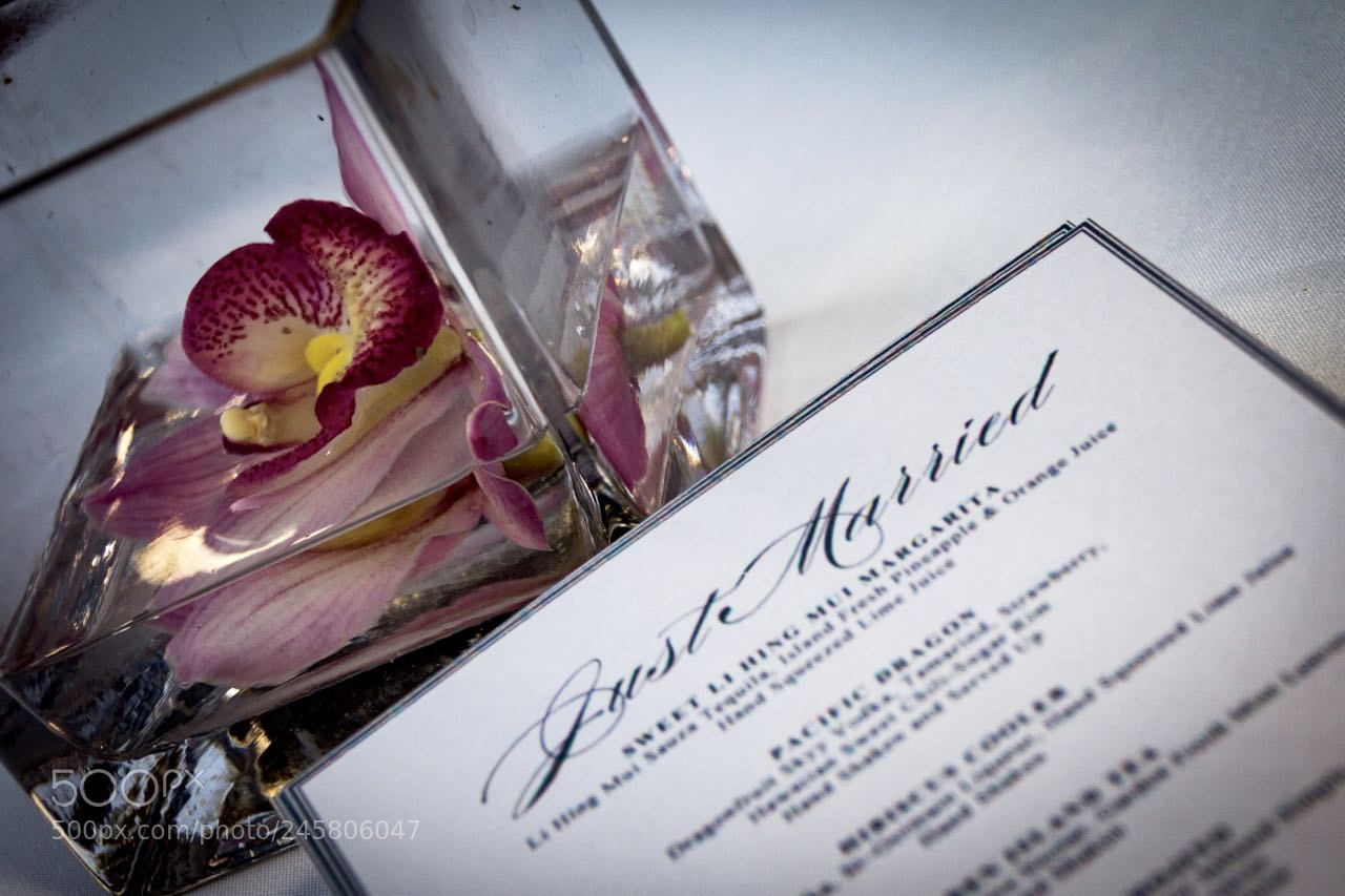Canon EOS 60D sample photo. Moon ross wedding photography