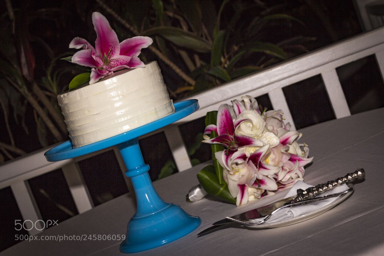 Canon EOS 60D sample photo. Moon ross wedding photography