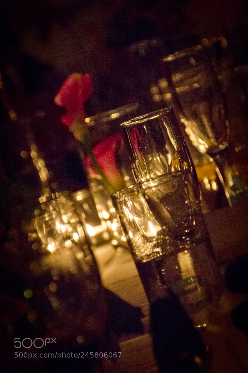 Canon EOS 60D sample photo. Moon ross wedding photography