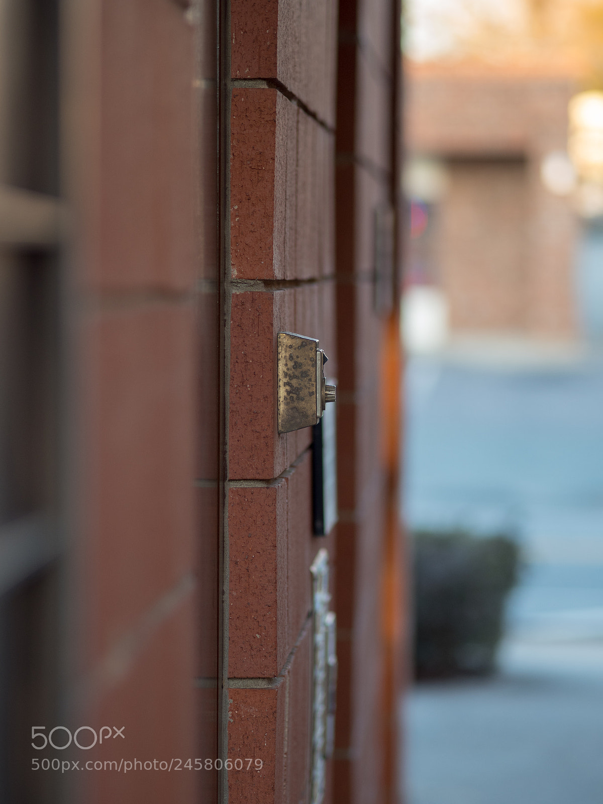 Olympus PEN-F sample photo. Olympus 75mm f/1.8 photography