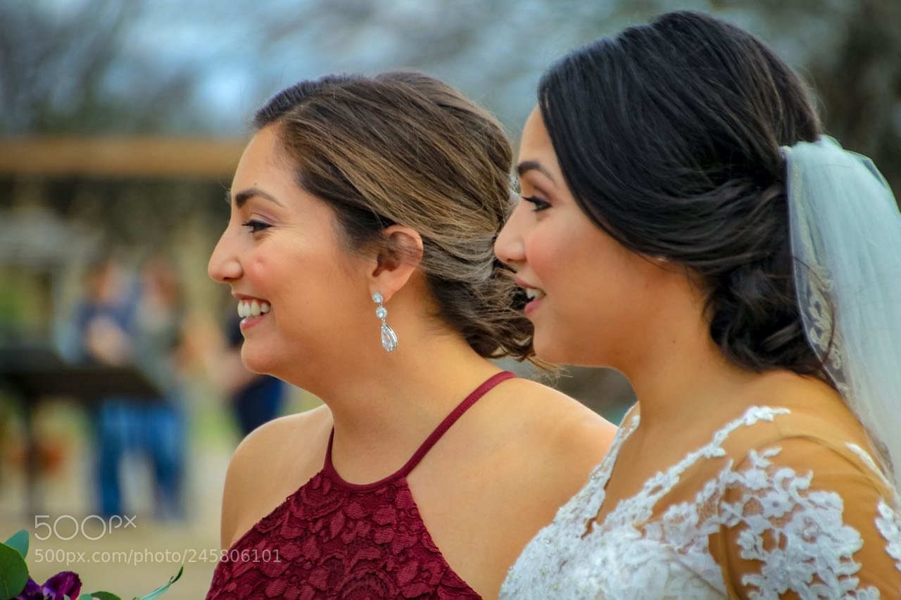 Canon EOS 60D sample photo. San antonio photography
