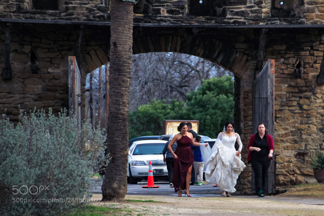 Canon EOS 60D sample photo. San antonio photography