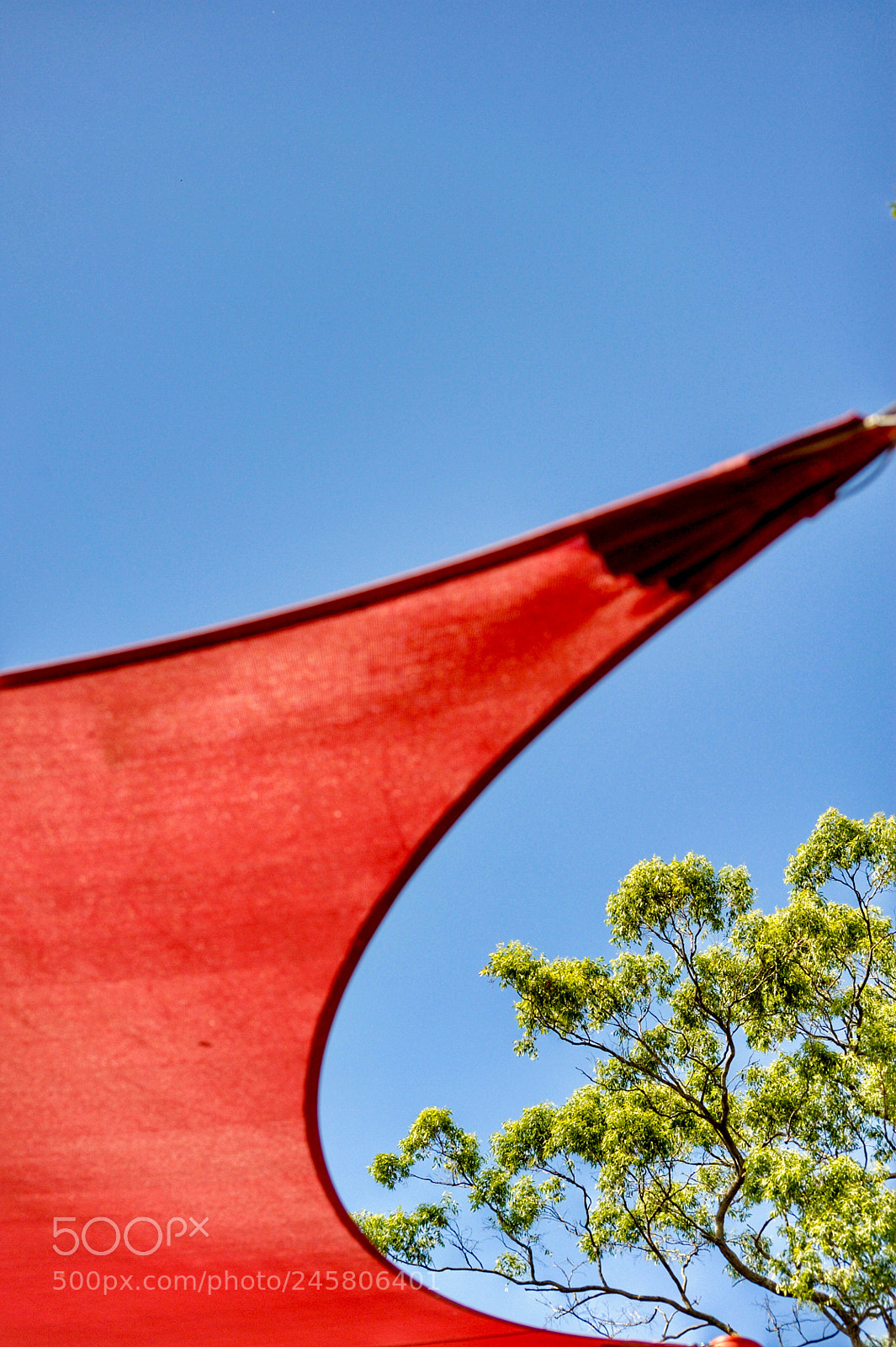 Nikon D700 sample photo. 《天蓬》3。 photography