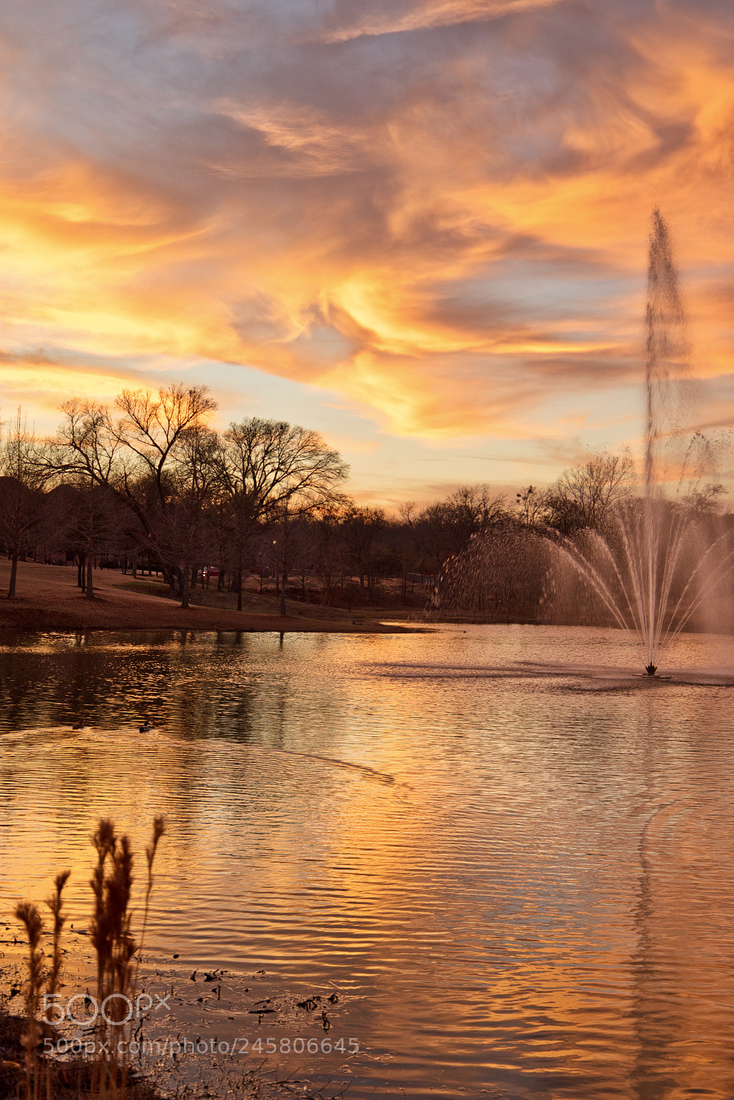 Canon EOS 6D Mark II sample photo. Winter sunset texas photography
