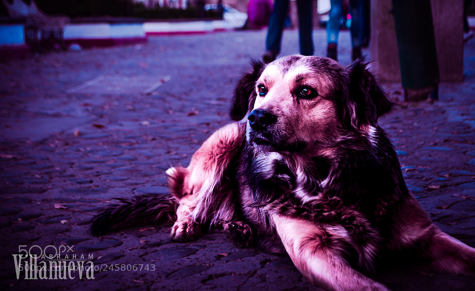 Nikon D5100 sample photo. Who is a good photography