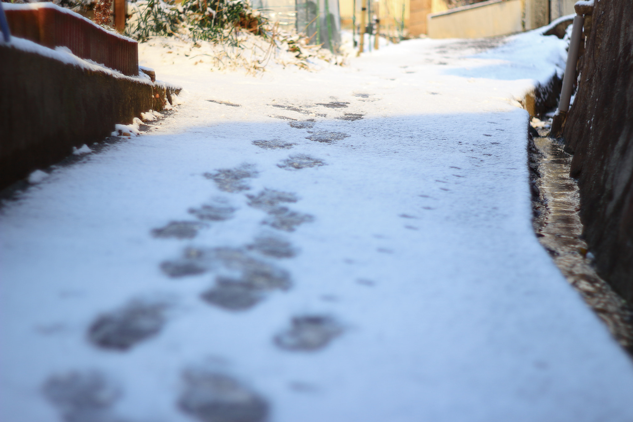 Canon EF 35-80mm f/4-5.6 sample photo. 足跡（footprint） photography
