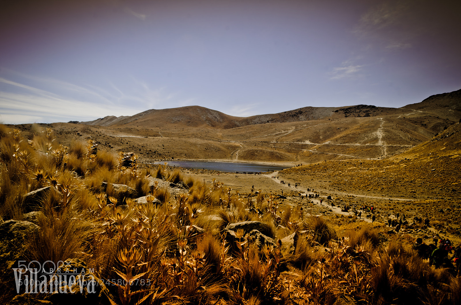 Nikon D5100 sample photo. El oasis  photography