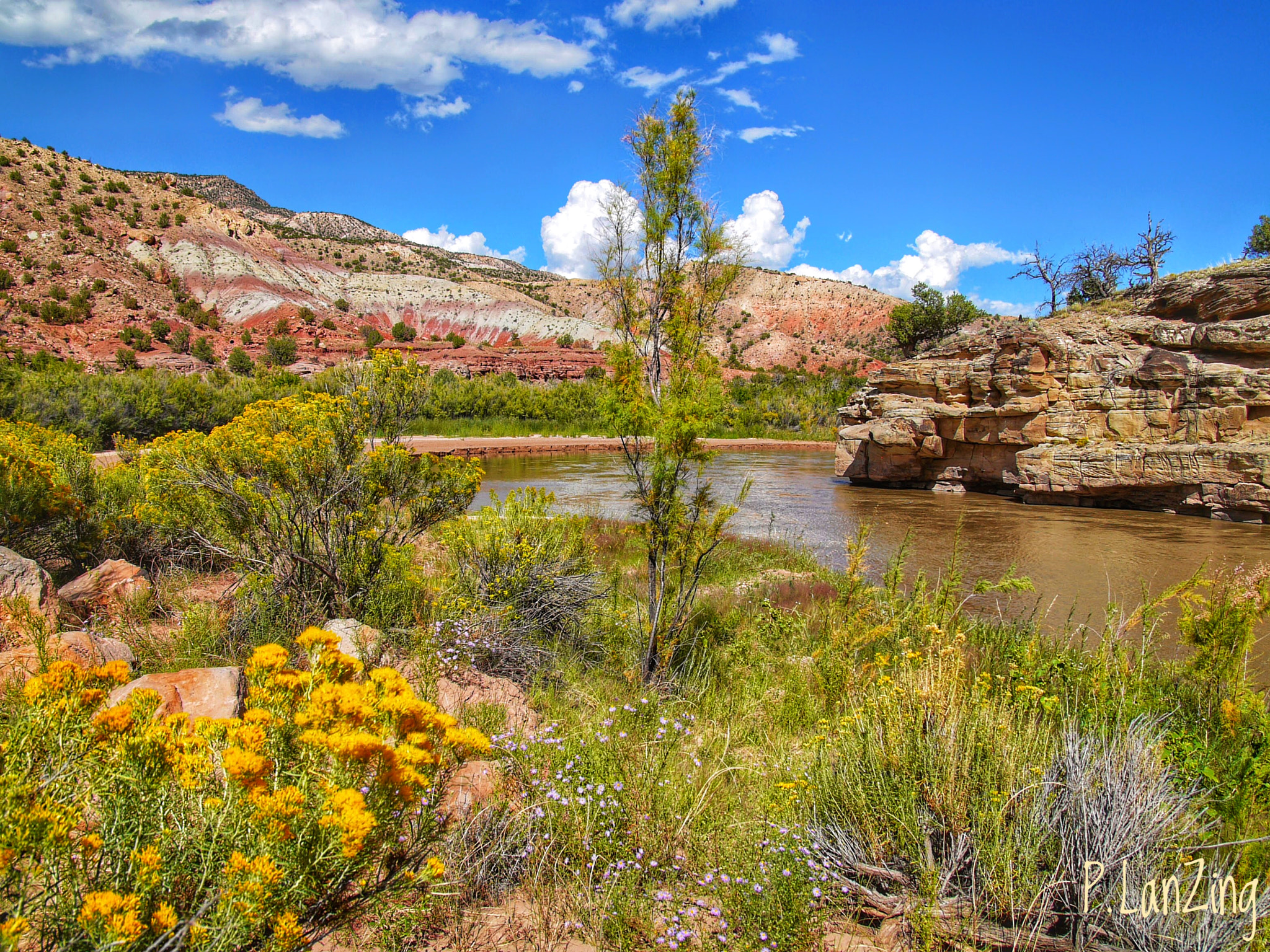 Panasonic Lumix DMC-L1 sample photo. Rio chama, new mexico photography